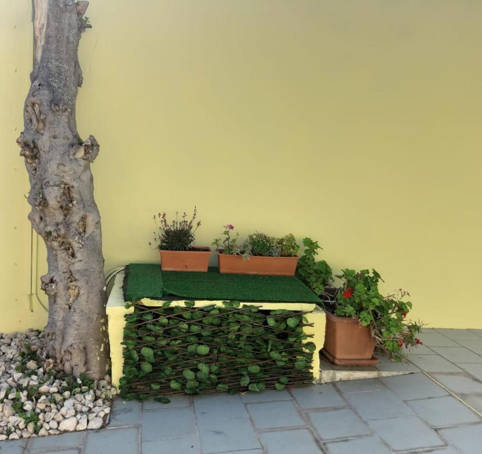 Bed and Breakfast La Piccola Mole Peschici Esterno foto